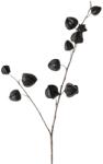  Creanga artificiala Physalis, negru (IN-4066076521197)