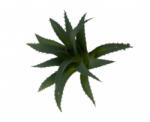  Planta artificiala suculenta, 14x12 cm (IN-5999124516328)