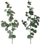  Creanga decorativa Eucalipt, verde 87 cm (IN-4066076040049)