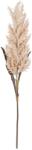  Buchet artificial Pampas, crem, 88 cm (IN-8720362188766)