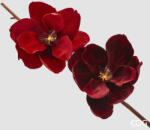  Floare artificiala Magnolie clips, catifea, rosu, 20 cm (IN-8059824579805)
