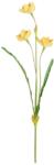  Floare artificiala Narcisa, galben, 57 cm (IN-4024077755621)