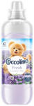 Coccolino öblitő Koncentrátum fresh lavender mist - 966ml