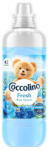 Coccolino öblitő Koncentrátum fresh blue splash - 966ml