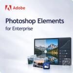 Adobe Photoshop Elements for Enterprise GOV 50 - 99 User (30017577CC03A12)