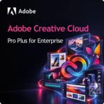 Adobe Creative Cloud Pro Plus for Enterprise EDU 10 - 49 User (30015491CB02A12)