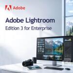Adobe Lightroom - Edition 3 for Enterprise GOV 1 - 9 User (30005658CC01A12)