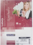 RayFilm Etichete albe din poliester mat A4, 10 coli/top, RAYFILM