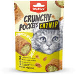 Wanpy Recompense pentru pisici Wanpy Crunchy Pockets Catnip, cu Pui, 60g (WP81165)