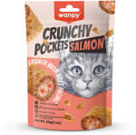 Wanpy Recompense pentru pisici Wanpy Crunchy Pockets cu Somon, 60g (WP81166)