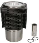 KOLBENSCHMIDT Set Piston si Camasa 100mm Std, 35x80 Fendt 2 D Farmer, 200 K Farmer, 200 S Farmer, 200 Sa Farmer (93535961)