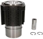 KOLBENSCHMIDT Set Piston si Camasa 100mm Std, 35x80 Fendt 2 D Farmer, 200 K Farmer, 200 S Farmer, 200 Sa Farmer (92815960)