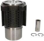 KOLBENSCHMIDT Set Piston si Camasa 102mm Std, 35x80 Fendt 203 K Farmer, 203 P Farmer, 203 P/Iii Farmer (94654960)