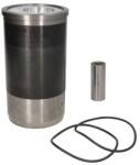 KOLBENSCHMIDT Set Piston si Camasa Std Fendt 231 Gt Tool Carrier, 600 Ls Favorit, 600 Lsa Favorit, 610 Ls Favorit (91753961)