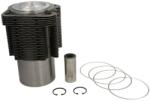 KOLBENSCHMIDT Set Piston si Camasa Std Fendt 206 F Farmer, 206 Fa Farmer, 206 S Farmer, 206 V Farmer (99775960)