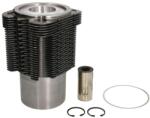 KOLBENSCHMIDT Set Piston si Camasa 102mm Std, 40x80 Fendt 380 Gta; Abg 186, 213; Ag Chem R40, R42, R50, R52 (90669961)
