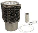 KOLBENSCHMIDT Set Piston si Camasa Std Fendt 206 F Farmer, 206 Fa Farmer, 206 S Farmer, 206 V Farmer (99701960)