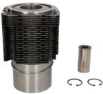 KOLBENSCHMIDT Set Piston si Camasa Std Fendt 380 Gta; Abg 186, 213; Ag Chem R40, R42, R50, R52; Agco 9630, 9650 (93315961)