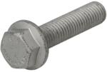 FPT Surub Surubul de Fixare a Sotei de Ulei 45mm M10 Carraro Agricube 100/100 F/100 Vl/100A Delta/100A Plus/110/110 Cvx (16587525-FPT)