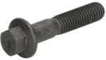 FPT Surub Surubul de Fixare a Sotei de Ulei 40mm M8x1, 25mm New Holland T6-tier 4A 100A Delta/100A Plus/110A Delta/110A Plus (4895323-FPT)