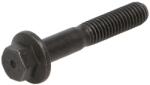 FPT Surub Bolt M6x1/35mm Carraro Agricube, Ls; Case Ih 4000, 600, Af, Maxxum; Case-Steyr 4000; Ls Plus; Massey Ferguson 7000 (4895483-FPT)