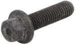 FPT Surub Bolt M8x1, 25/30mm Carraro Agricube, Ls; Case Ih 4000, 600, Af, Maxxum; Case-Steyr 4000; Ls Plus (4899063-FPT)