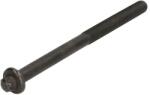 FPT Set Surub Chiulasa de Suruburi pentru Capul Cilindrului Case Ih SR220, SR250, SV250; New Holland T4.75 F, T4.85 F (504081533-FPT)