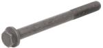 FPT Surub Stabilizator Cabina Conducator Surubul Suportului Cabinei m18x2mm, Lungime196mm New Holland Cr10.90, Cr8.90 (504108192-FPT)