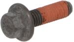 FPT Surub Bolt Case; New Holland (4895817-FPT)