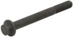 FPT Surub Bolt Case; New Holland (4897934-FPT)