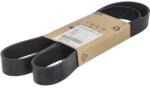 FPT Curea Transmisie cu Caneluri Multi-V (5802377703-FPT)