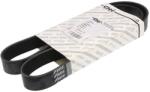 FPT Curea Transmisie cu Caneluri Multi-V Carraro 100 F, 100 Vl, Ls P7040, Ls P7040 Cps; Case Ih 4110 Clasic, 4110 Et (504090413-FPT)