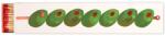 Paddywax Slender Olives gyufa 45 db