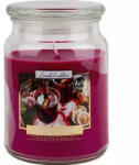 BISPOL Lumânare vin fiert snd99-195 500g