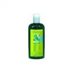 LOGONA Daily Care Bio aloe vera & verbéna sampon 250 ml