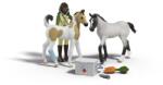 Schleich Schleich, Horse Club, Trusa de prim ajutor a lui Sarah, set, 42777 Figurina