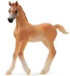Schleich Schleich, Horse Club, Manj de rasa pura araba, figurina, 13984 Figurina