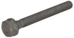 DEUTZ Surub Pinion Arbore cu Came Surubul de Fixare a Pinionului cu Arbori Deutz (04514811-DEUTZ)