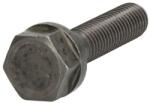 DEUTZ Surub Pinion Arbore cu Came Surubul de Fixare a Pinionului cu Arbori Deutz (04220681-DEUTZ)