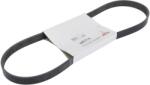DEUTZ Curea transmisie Accesorii cu caneluri Multi-V Deutz (01183371-DEUTZ)