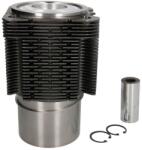 KOLBENSCHMIDT Set Reparatie Piston si Camasa Deutz (40483960)
