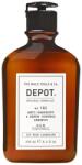 Depot Depot, 100 Hair Cleansing No. 102, Complex botanic, Șampon pentru păr, Antimătreață și controlul sebumului, 250 ml