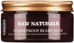 Raw Naturals Raw Naturals, Storm Proof, 100% vegan, Beard Balm, Softening, 100 ml