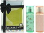 Warner Bros. Interactive Set Duo, Warner Bros, Friends, Hidratant și netezitor, Spray de corp, 2 buc, 100 ml
