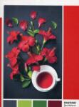 Clementoni Clementoni, Pantone, Goji Berry, Puzzle, Unisex, 1000 pcs Puzzle