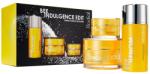 Rodial Bee Indulgente Edit Set Rodial: Bee Venom, Moisturizing, Cream, For Face, 50 ml + Bee Venom, Brightening, Eye Cream, 25 ml + Bee Venom, Eliminates Impurities, Cleansing Balm, For Face, 100 ml
