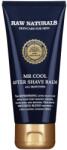 Raw Naturals Raw Naturals, Mr. Cool, 100% vegan, Refreshing, After-Shave Balm, 100 ml