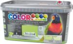 Colorline 4 кг цветен шамфъстък 22
