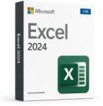 Microsoft Licență Excel 2024 1 PC - Asociere Cont Microsoft (DG7GMGF0PN5H-0002)