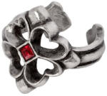 Alchemy Gothic inel ALCHEMY GOTHIC - Crux Apassioniato - R262